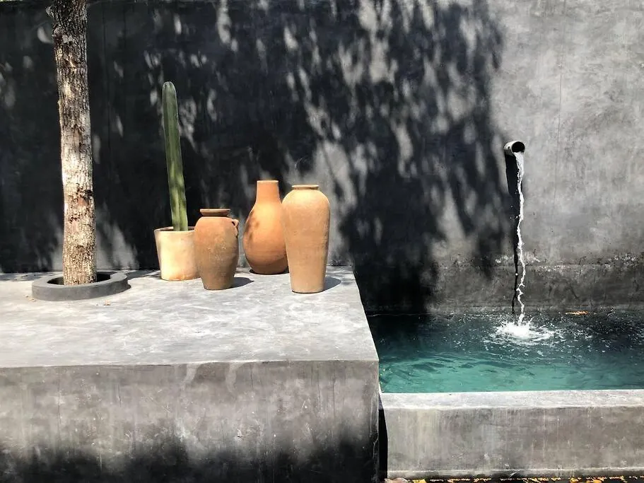 Totally Private Pool And Terrace @ La Veleta D6 Tulum Apartment