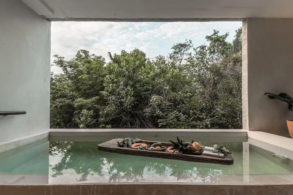 Totally Private Pool And Terrace @ La Veleta D6 Tulum Apartment