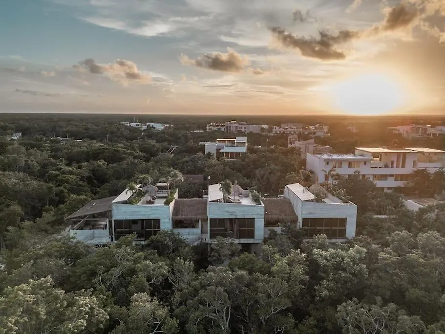 Apartment Totally Private Pool And Terrace @ La Veleta D6 Tulum